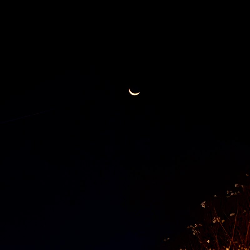 Chandra Kumar post 1