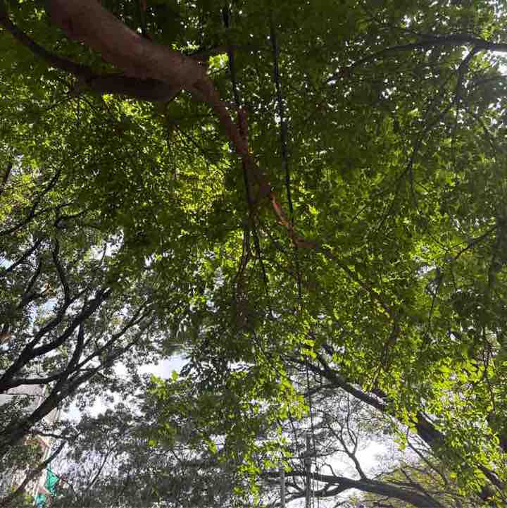 Chandra Kumar post 2