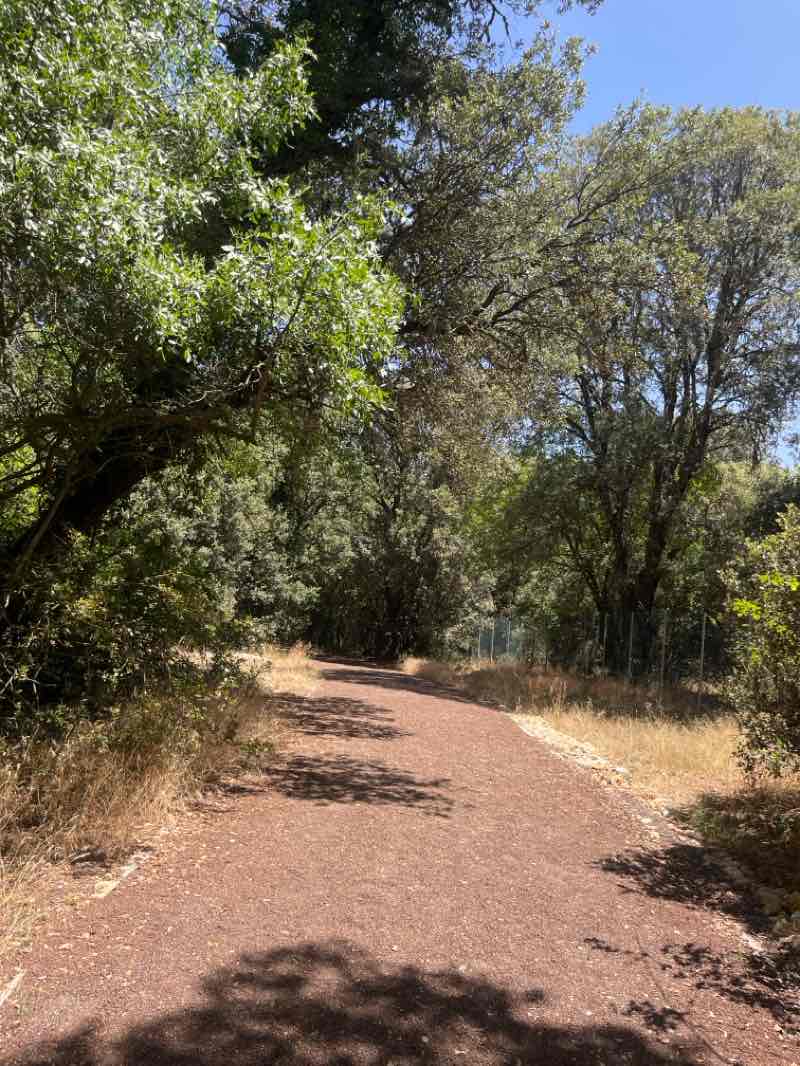 walking near me in Park Mohammed 5 in autumn