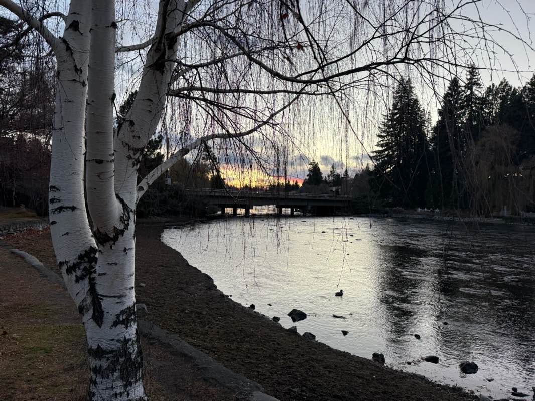walking near me in Drake Park in winter