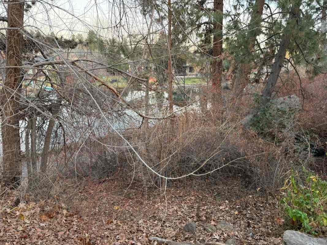 walking near me in Columbia Park in winter