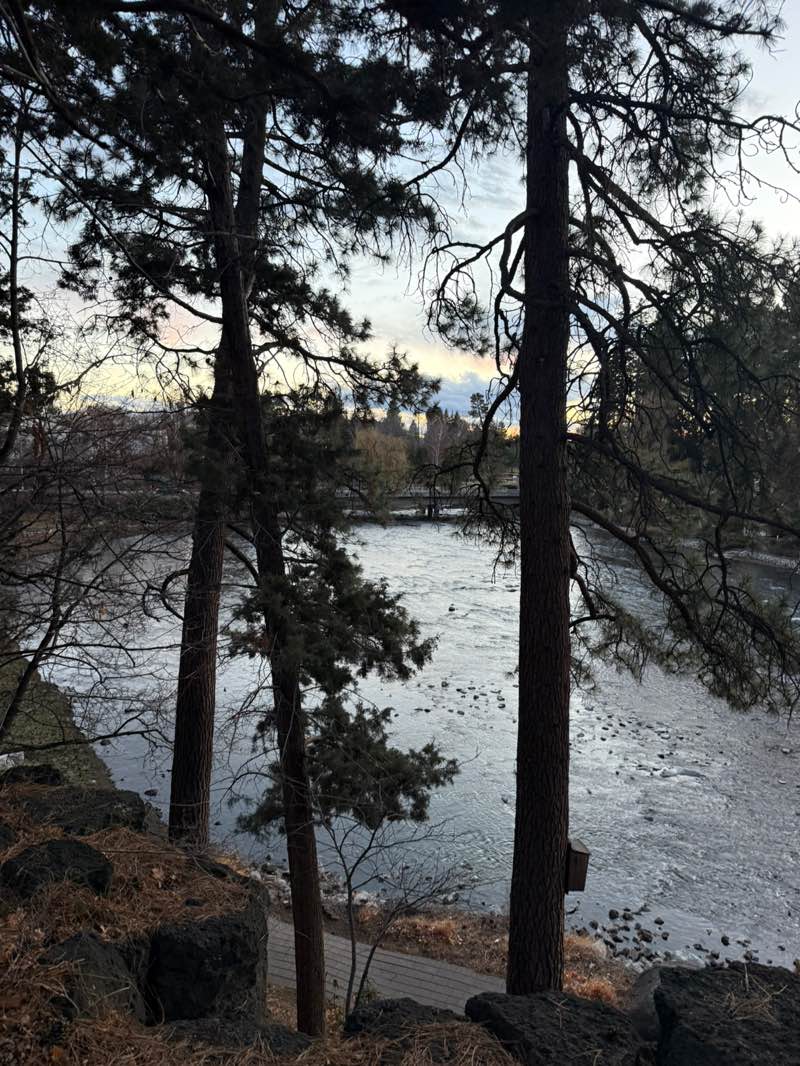 walking near me in Pioneer Park in winter