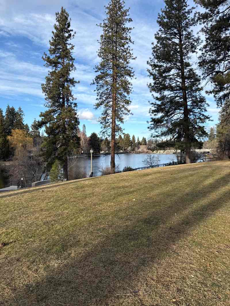 walking near me in Drake Park in winter