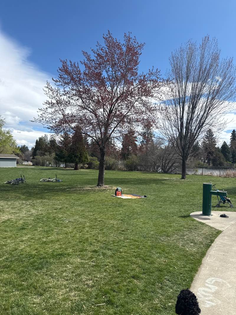 walking near me in Harmon Park in spring