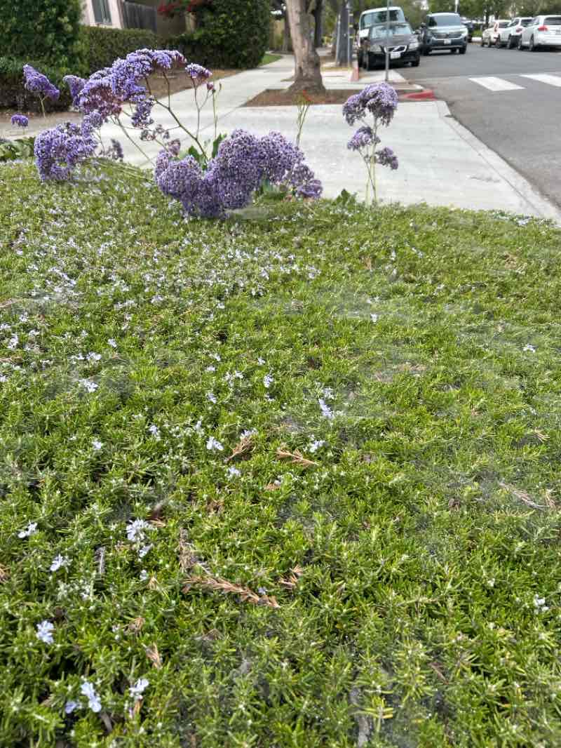 walking near me in Oak Park in autumn