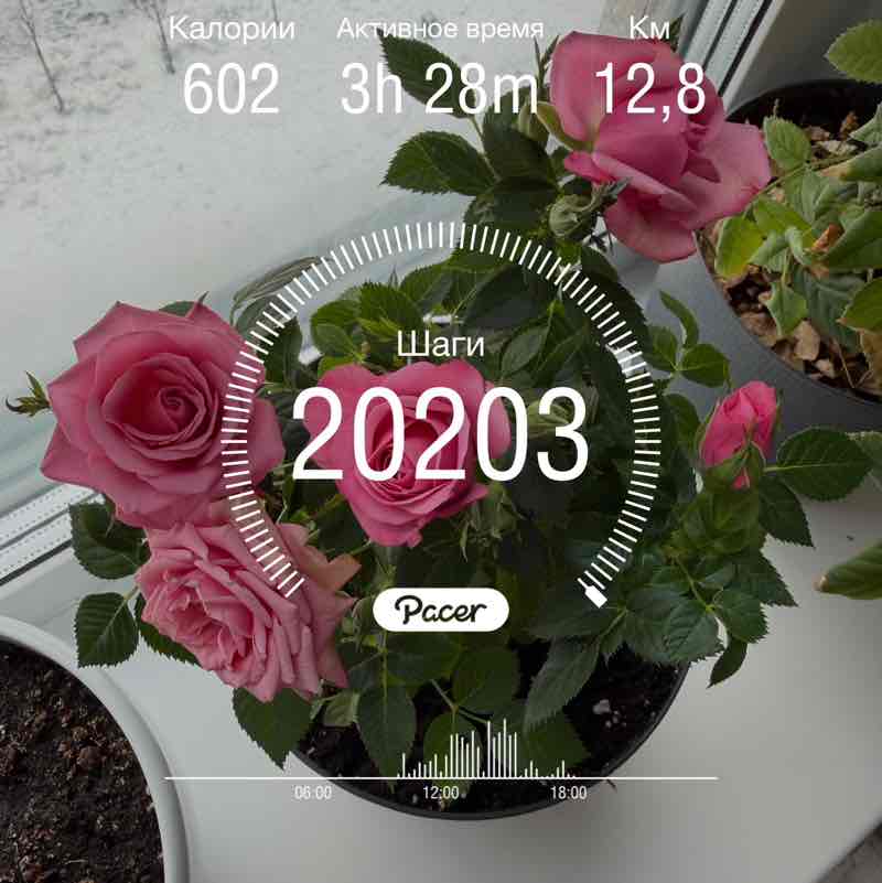 March Steps Challenge Юлька mimi🇷🇺 post image