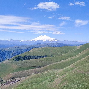 Клеопатра profile