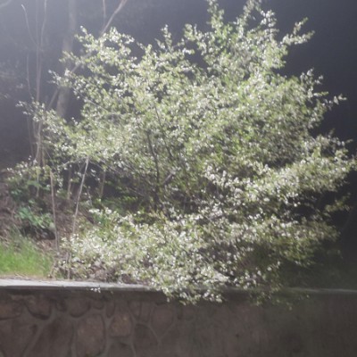 Любимый Пятигорск Клеопатра post image