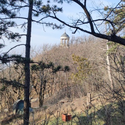 Любимый Пятигорск Клеопатра post image