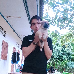 participant 0