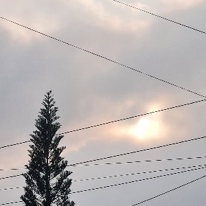 justwhen7 profile