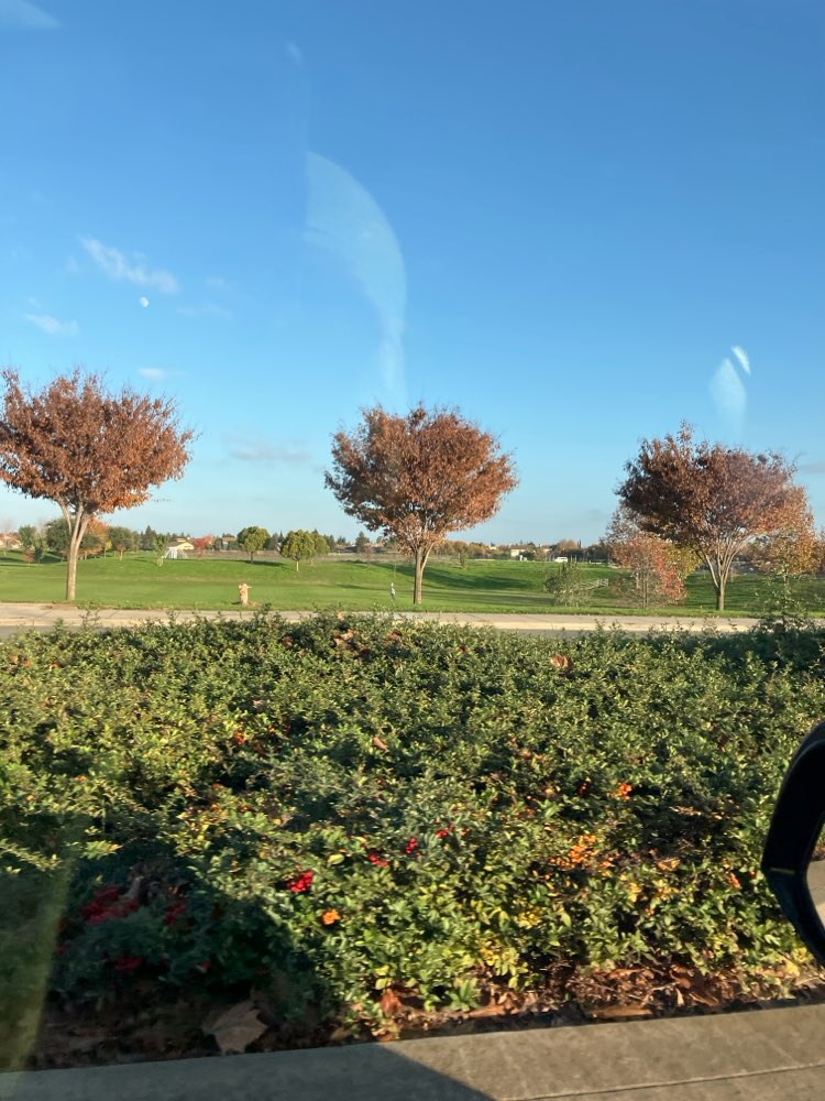 walking near me in DeBenedetti Park in winter