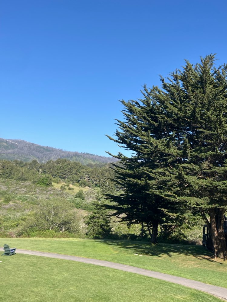 walking near me in Año Nuevo State Park in spring