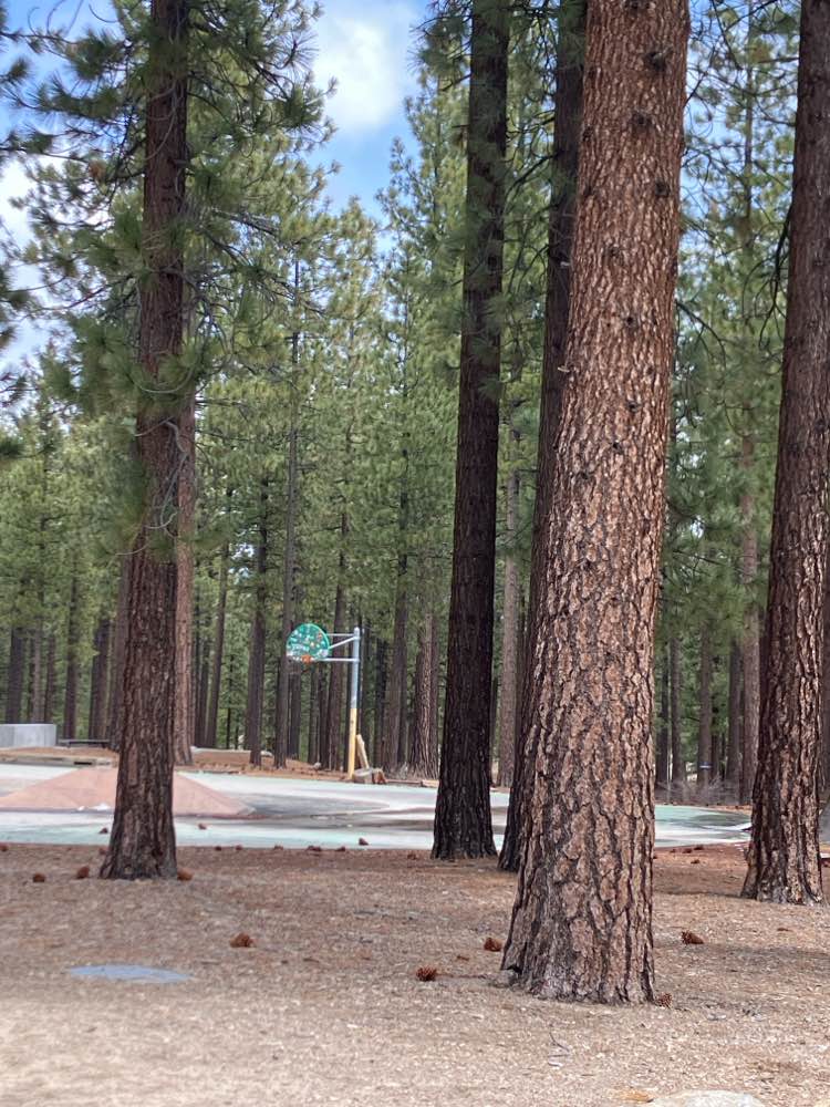 walking near me in Bijou Community Park in spring