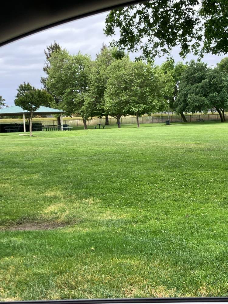 walking near me in Garrigan Park in spring