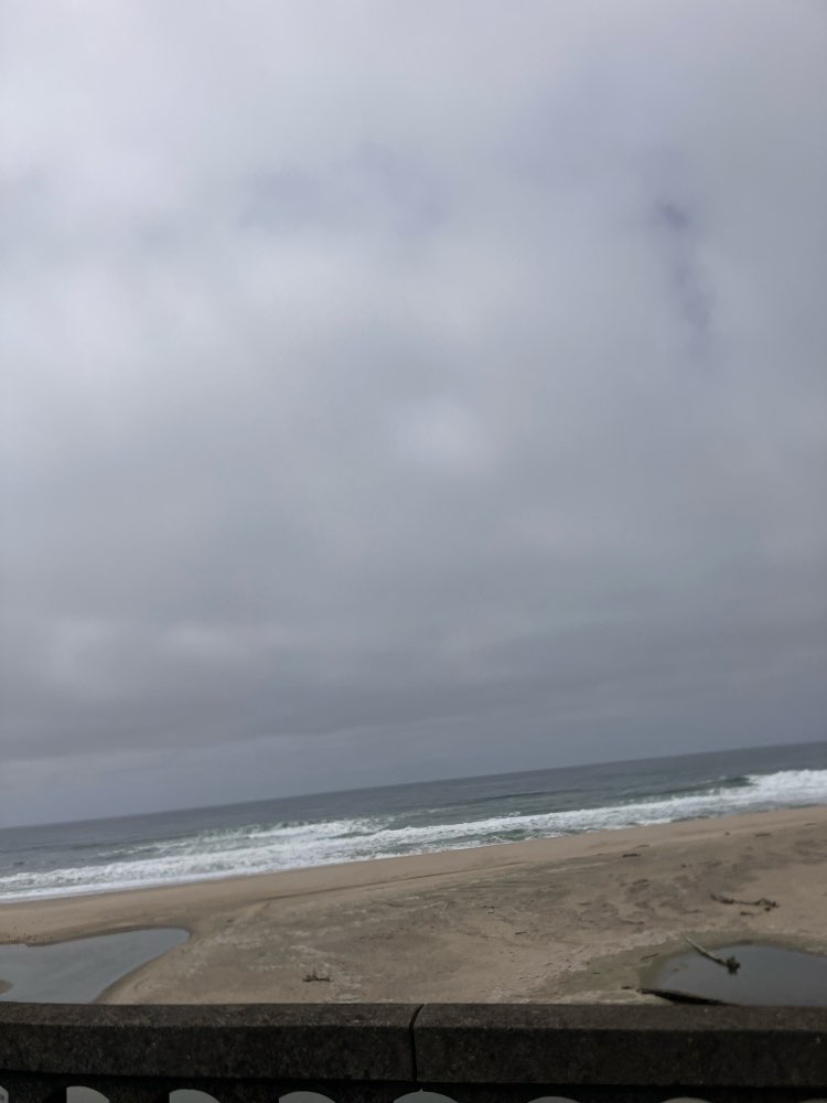 walking near me in San Gregorio State Beach in spring