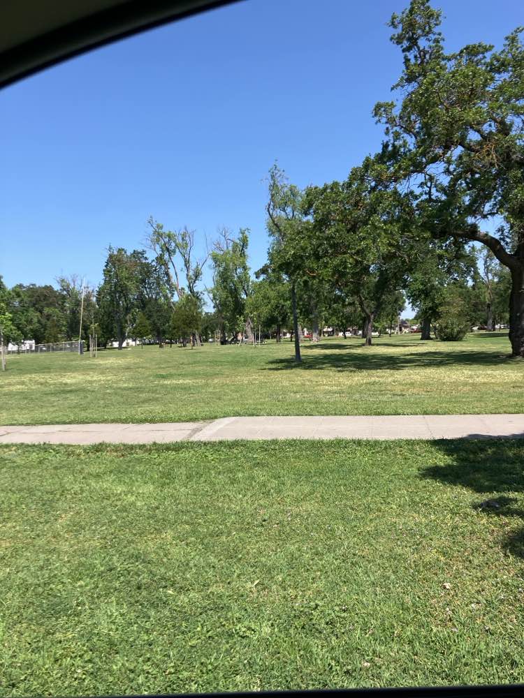 walking near me in Victory Park in spring