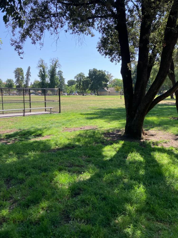 walking near me in Enslen Park in spring