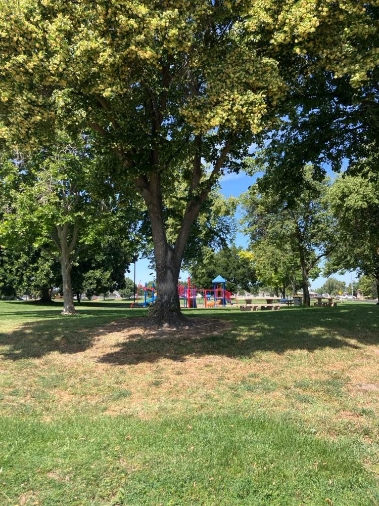 walking near me in Doxey Park in summer