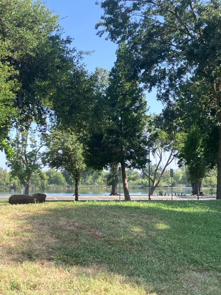 walking near me in Lodi Lake Park in summer
