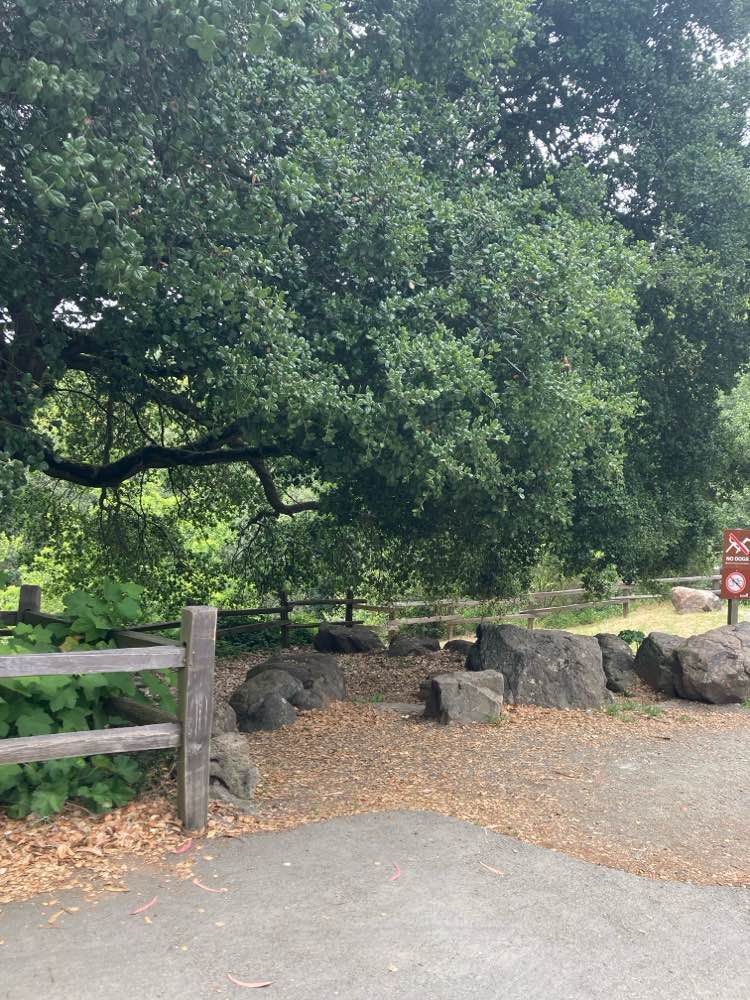 walking near me in Montclair Playground in summer