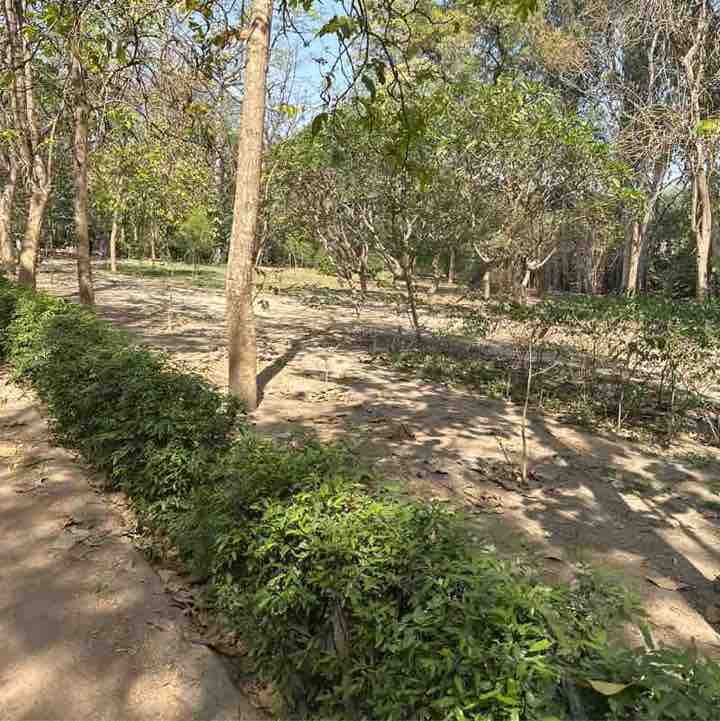 Virendra Singh post 1