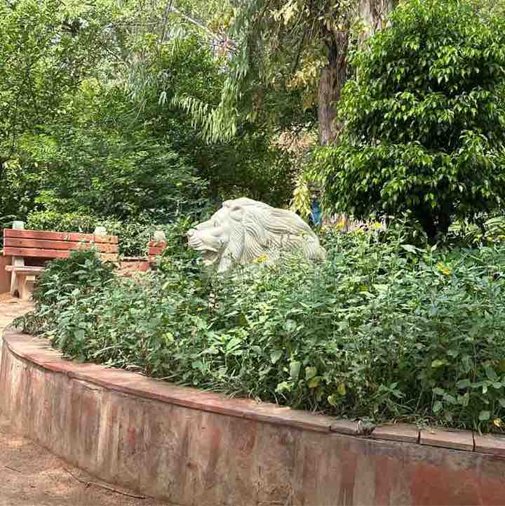 Virendra Singh post 1