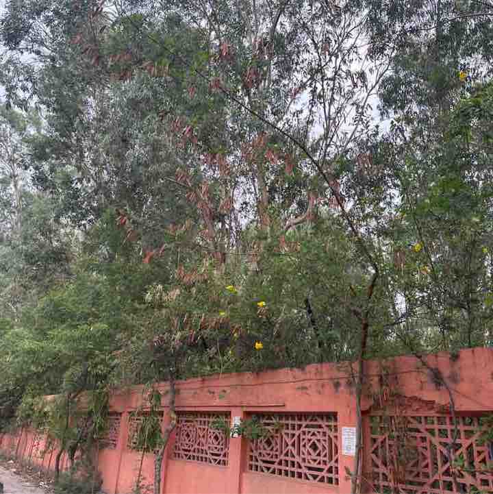 Virendra Singh post 1