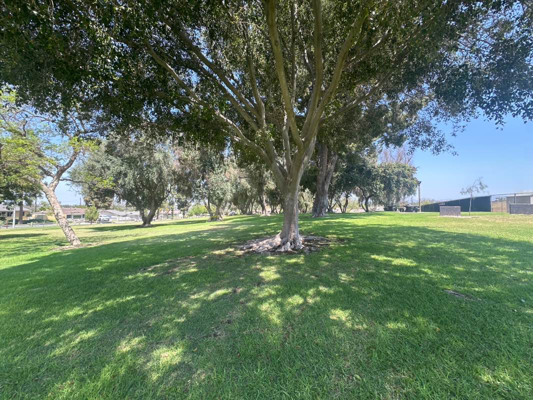 walking near me in Gardenhill Park in summer