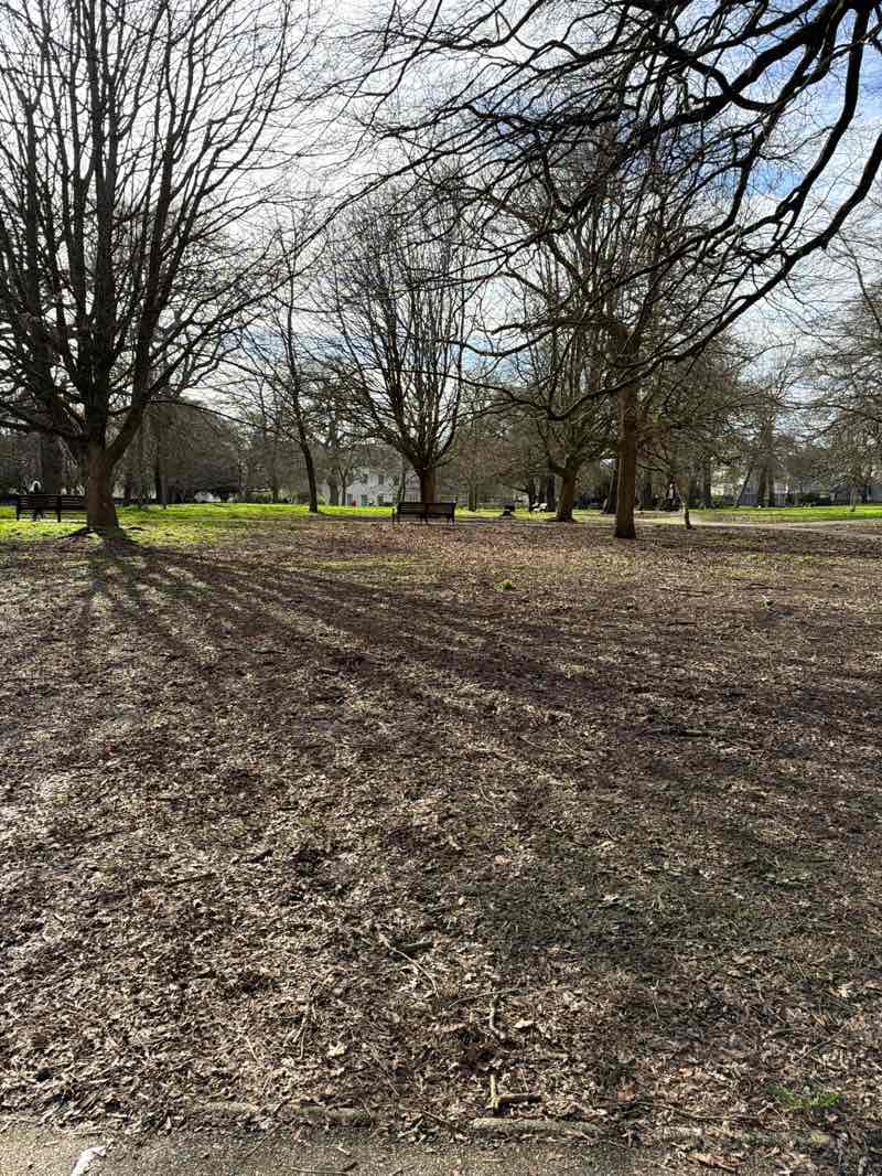 walking near me in Beaumont Park in winter