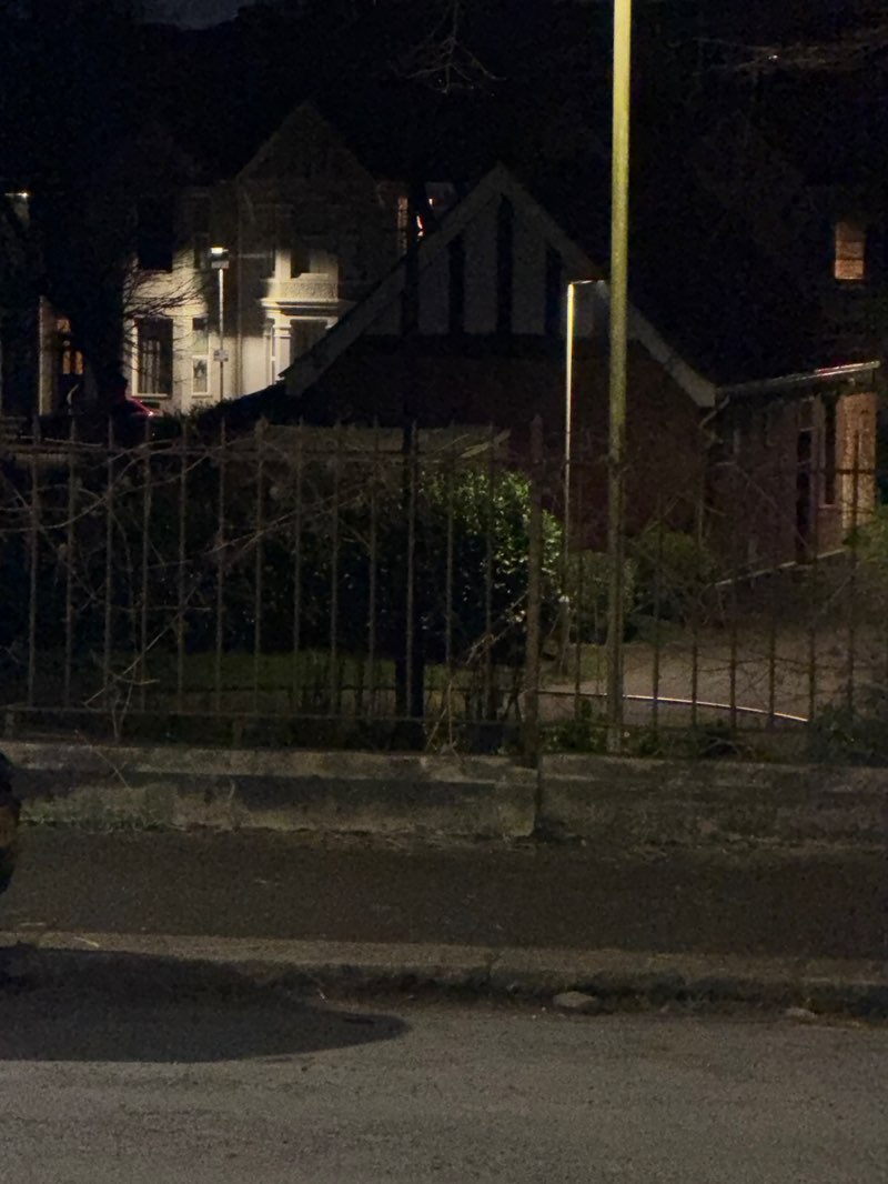 walking near me in Tothill Park in spring