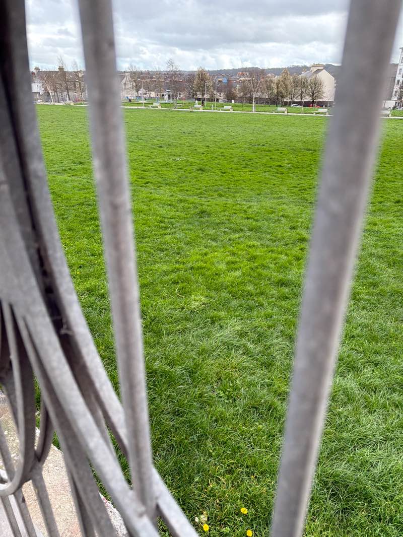 walking near me in Astor Playing Fields in spring