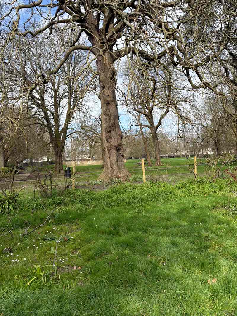 walking near me in Beaumont Park in spring