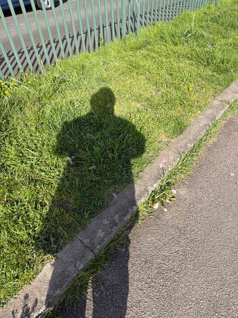 walking near me in Freedom Fields in spring