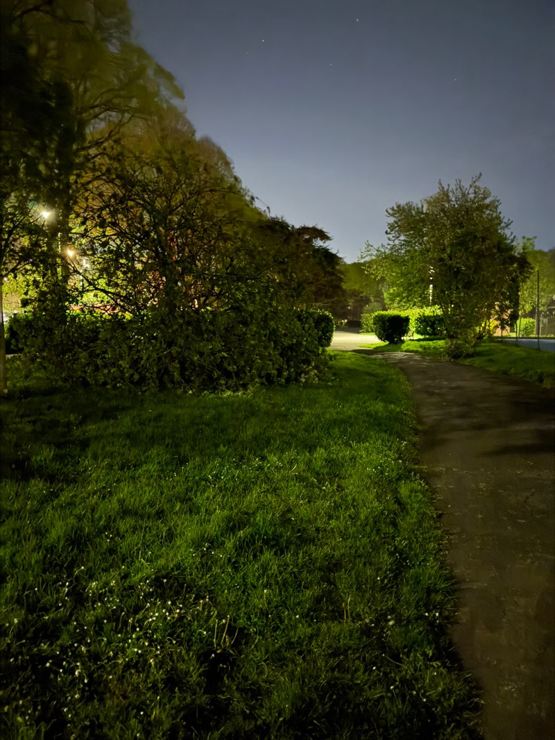 walking near me in Tothill Park in spring