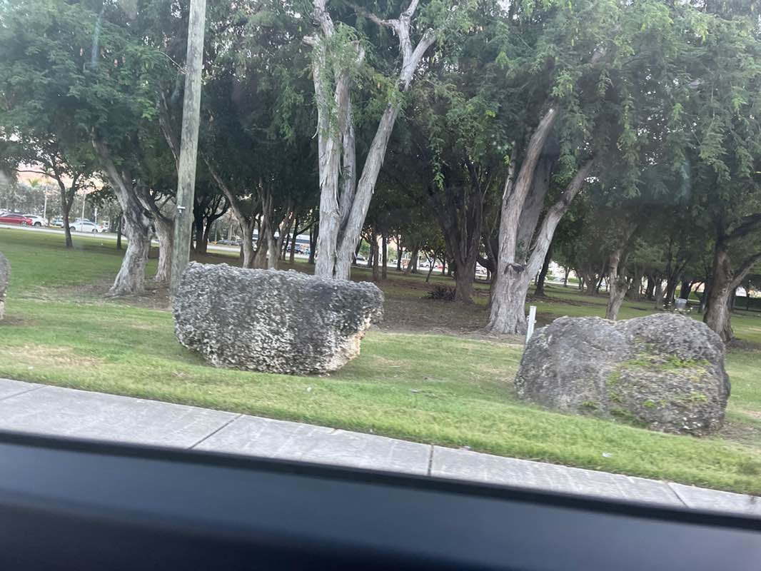 walking near me in Modello Wayside Park in autumn