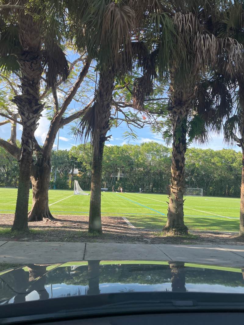 walking near me in Flagler Grove Park in summer