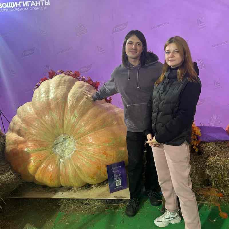 Пчелы 🐝 phelka1107 post image