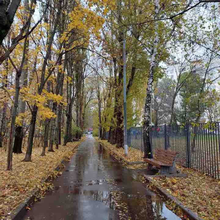 Пчелы 🐝 phelka1107 post image