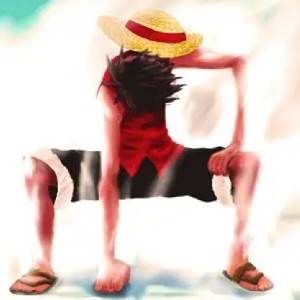 Monkey D. Luffy profile