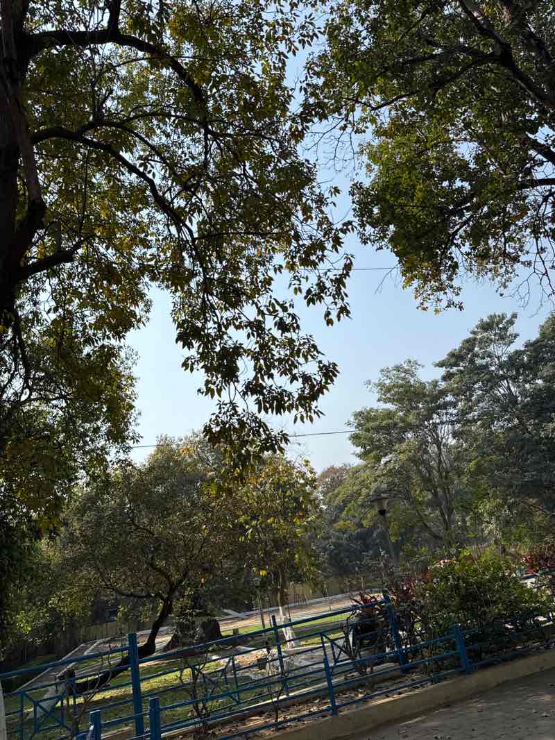 walking near me in Gopeshwar Park in spring