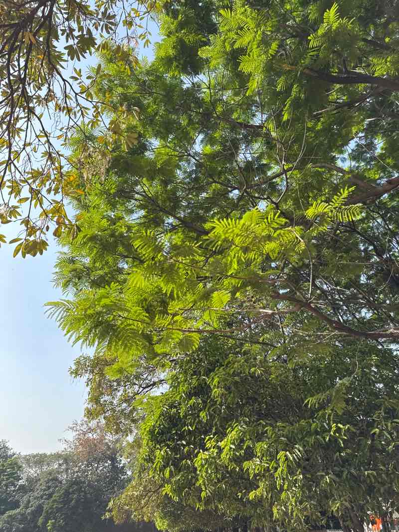 walking near me in Agrico Maidan in spring