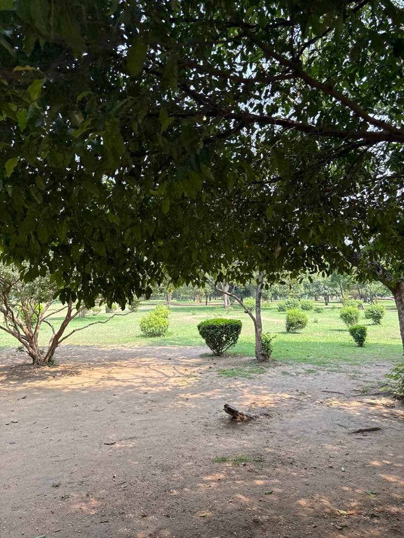 walking near me in Jubilee Park in spring