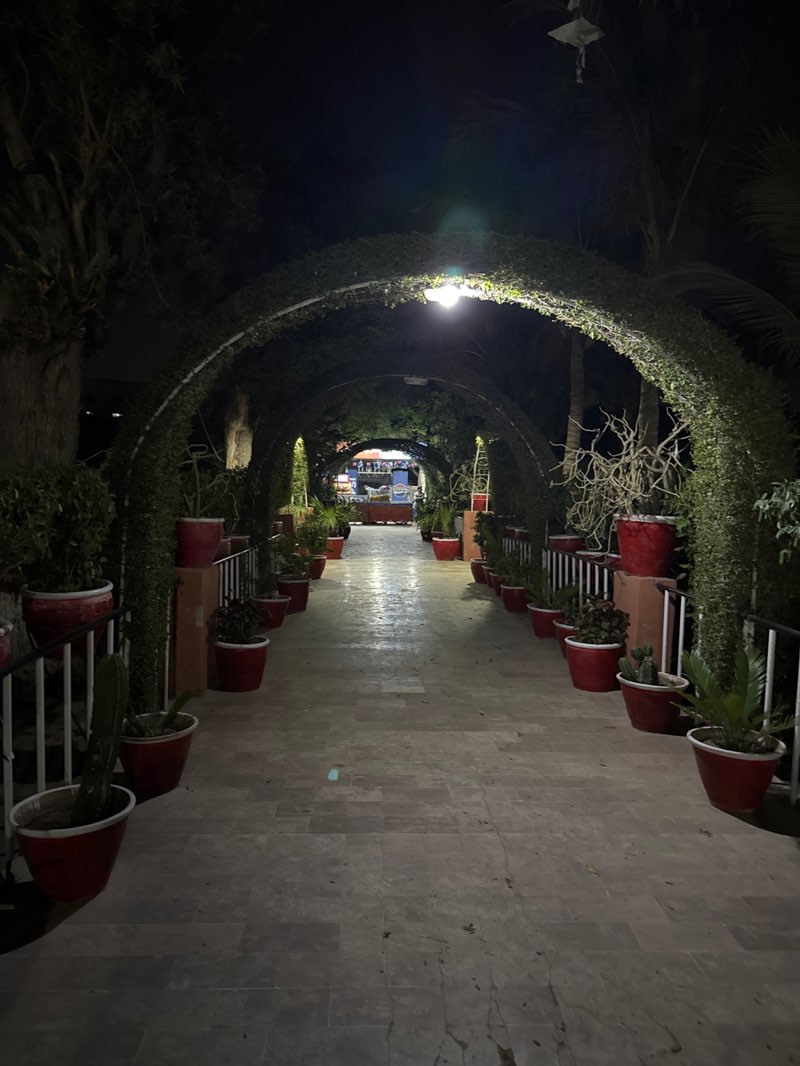 walking near me in Ziauddin Park Eid Gah in winter