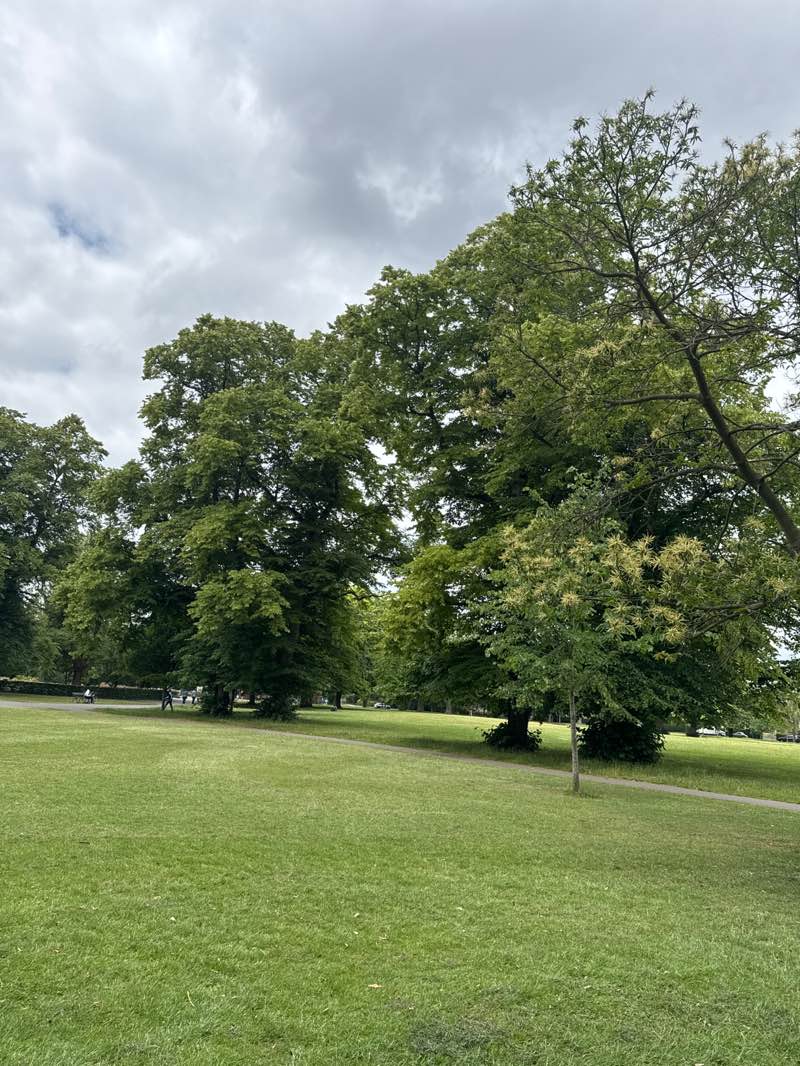 walking near me in Queen's Gardens in summer