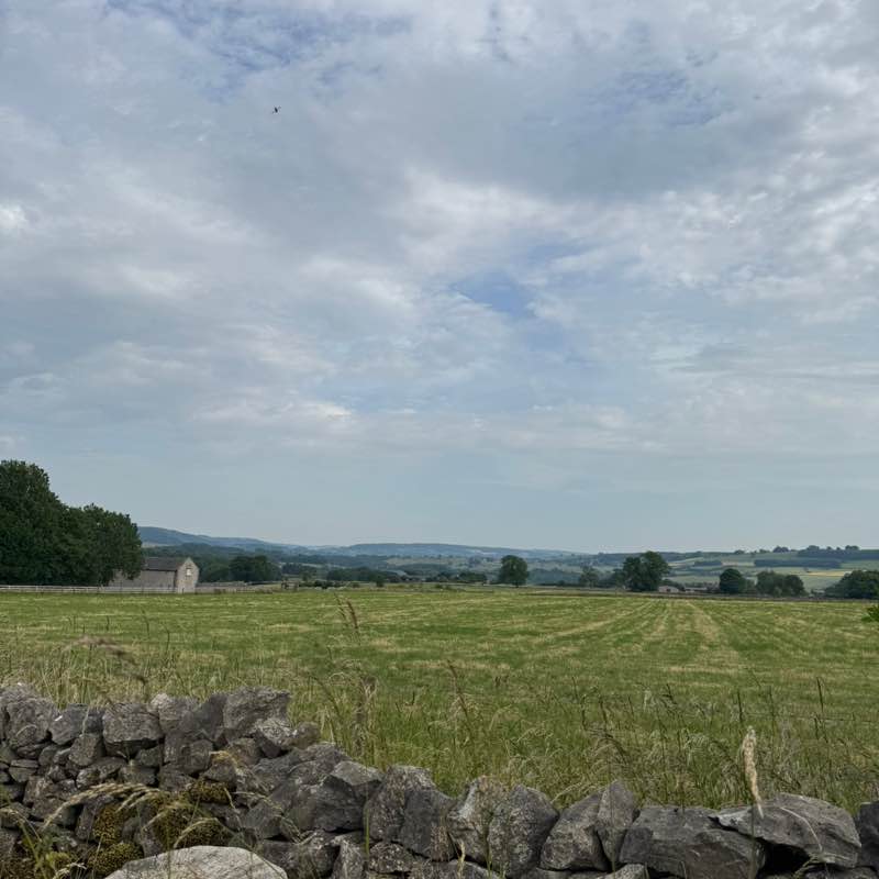 القيادة Zahid post image