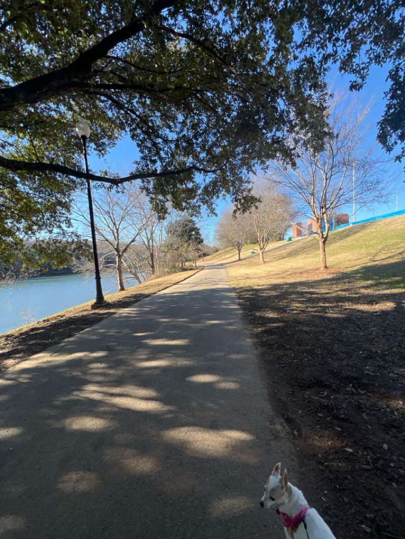 walking near me in The South Commons Sports and Entertainment Complex in winter