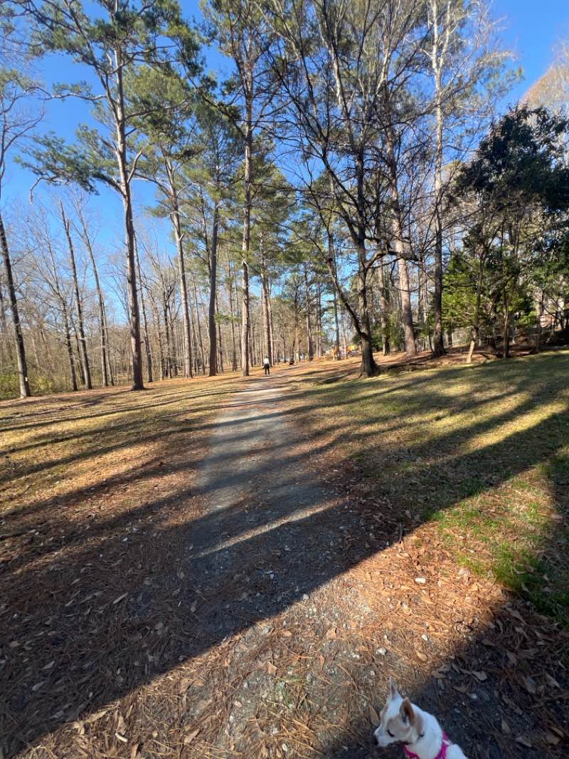 walking near me in Columbus Botanical Garden in winter