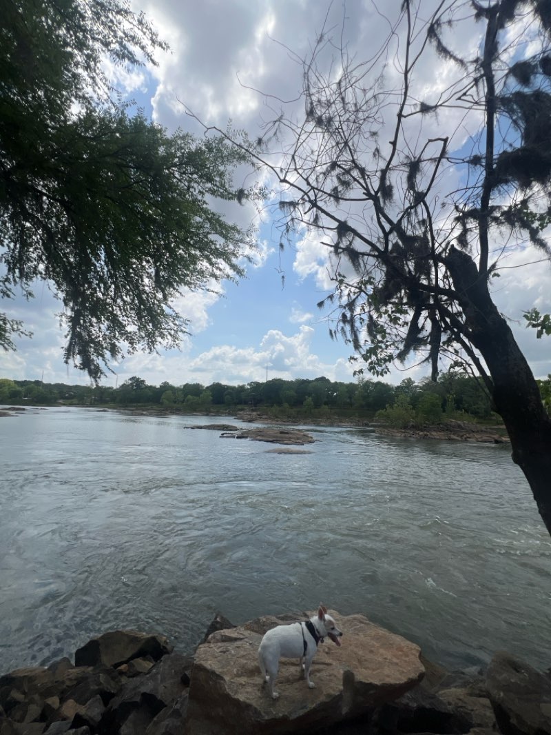 walking near me in North Recreation Center in spring