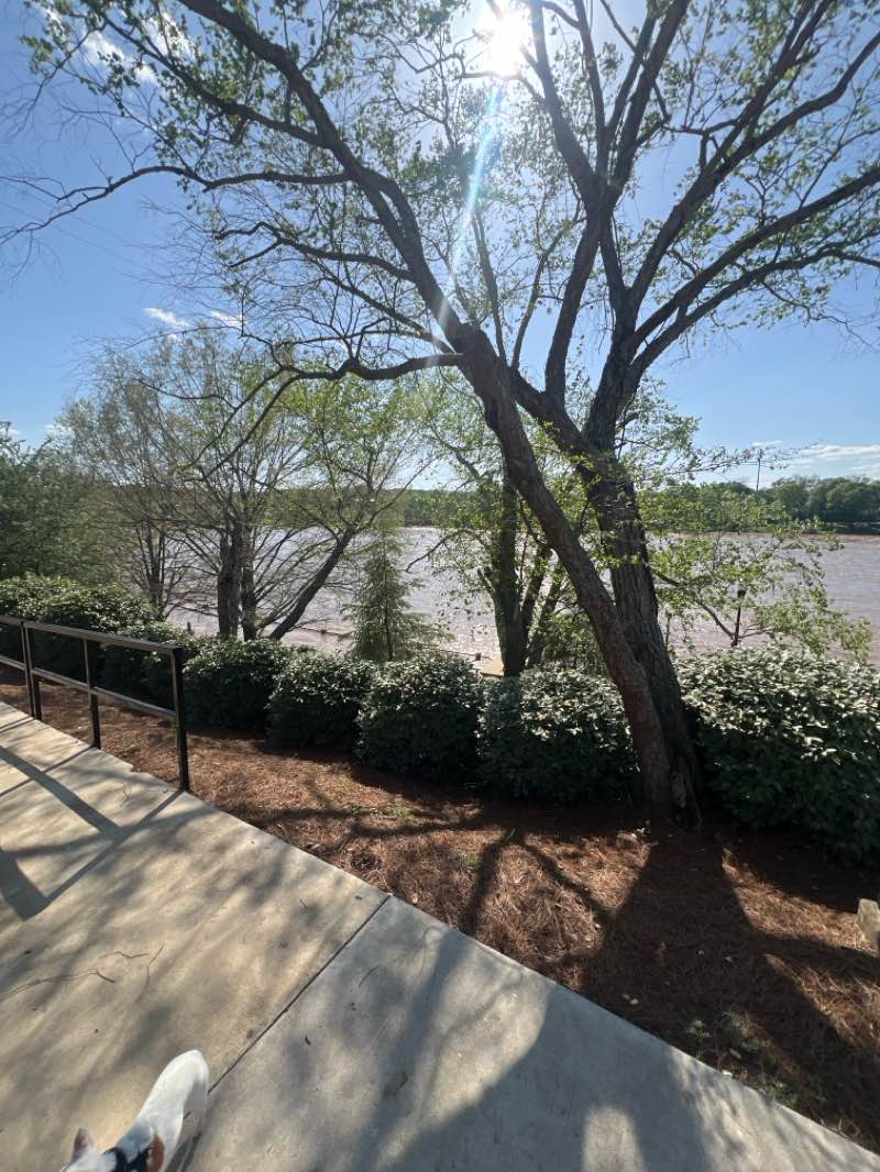 walking near me in Woodruff Riverfront Park in spring